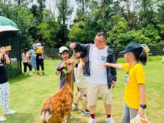 -前小桔亲子创意农场·草莓采摘·露营烧烤