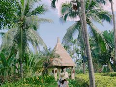 -亚龙湾喜来登·美景台大堂吧