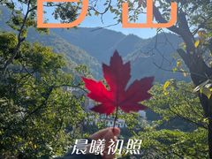 -阳产土楼