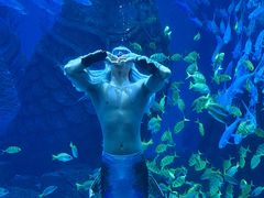 -波塞冬旅游度假区