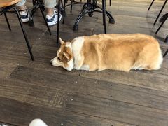 -肥朵食堂(带梦胡同店)