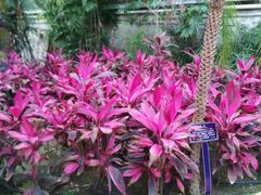 -天源吉布世温泉水乐园