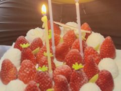 -蒲公英(五里店)