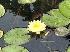 -苏州河梦清园环保主题公园