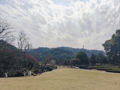 -桃花岭景区