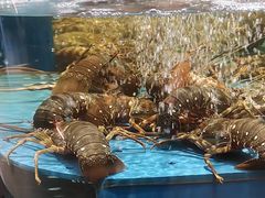 -阿伟海鲜楼·福建菜(延寿店)