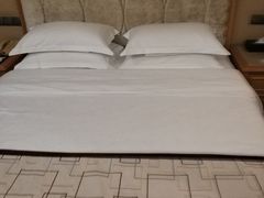 -长沙小天鹅戴斯酒店