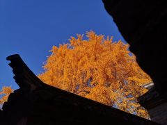 -天朝元辅-徐州民俗博物馆