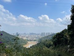 -阳台山森林公园