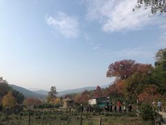 -塔川景区