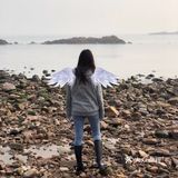 小麦岛公园⛲️