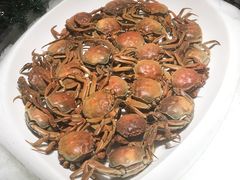 -东方红海鲜百汇(国际大厦店)