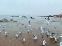 -老虎石海上公园