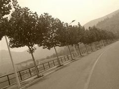 -山东艺术学院(长清校区)