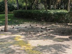 -迎泽公园