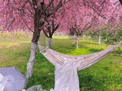 -渭河城市绿地运动公园