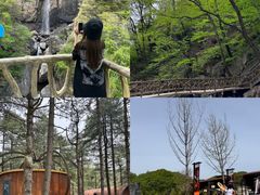 -洛阳白云山景区