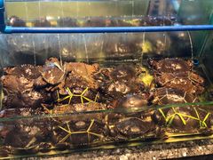 -Isla Sugbu Seafood City