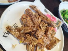 -单家老院·院子里的青岛菜(沙子口店)