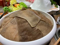 毛肚-尚海豆捞(乐虹坊店)