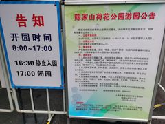 -陈家山荷花公园