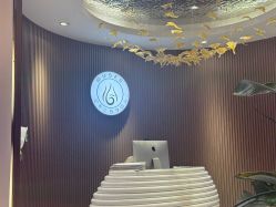 -MUSES专业脱毛日式比基尼サロン连锁