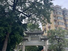 -长洲岛