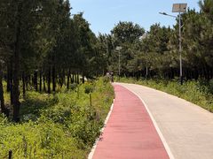 -绿堤公园