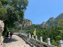 -大岭沟猕猴桃谷风景区