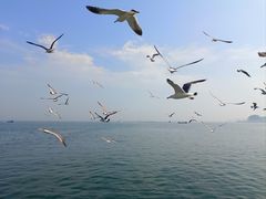 -星海广场