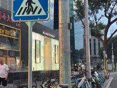 -BLACKSWAN黑天鹅(环球店)