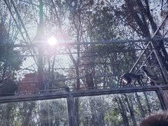 -哈尔滨北方森林动物园