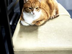 -蓝天射箭馆·专业射箭运动(诚丰广场店)