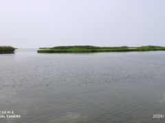 -太湖湖滨国家湿地公园-停车场