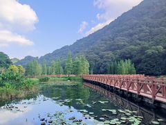 -广州市石门国家森林公园