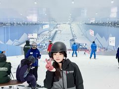 -深圳国际会展中心希尔顿酒店(前海华发冰雪世界店)