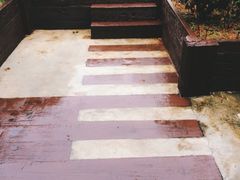 椰树岛海滩度假村-椰树岛海滩度假村