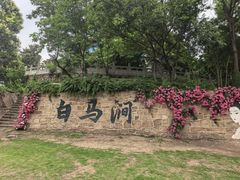 -白马涧龙池景区