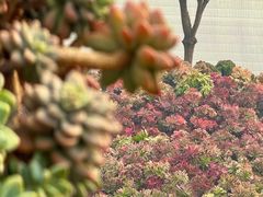 -沂蒙云瀑洞天景区