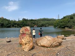 -深圳仙湖植物园