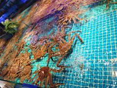 -驻海渔市(置信店)