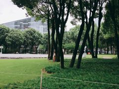 -重庆市江北嘴中央商务区中央公园