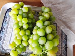 -白鹿原葡萄主题公园