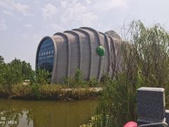 -泗洪洪泽湖湿地景区