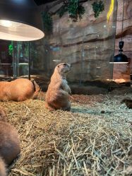 -Zoolung Zoolung动物主题公园(海信广场店)