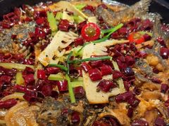 -老板恋上鱼(恒隆广场店)