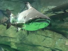 -泉城欧乐堡海洋极地世界