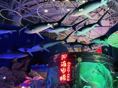 -烟台海昌鲸鲨海洋公园