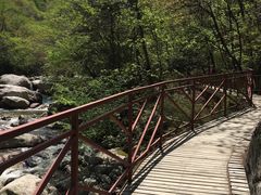 -青峰峡国家森林公园