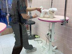 -FAELING PETS美天灵宠物(富力广场店)
